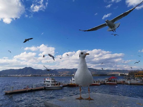 正好配资 河南去年出生人口76.2万人，全国“最能生娃”省份排名出炉