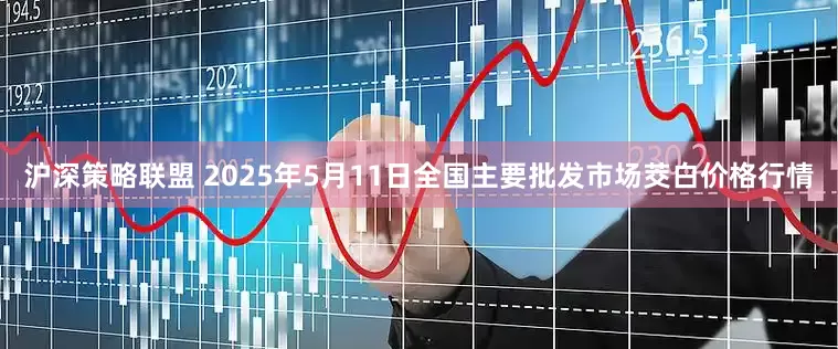 沪深策略联盟 2025年5月11日全国主要批发市场茭白价格行情