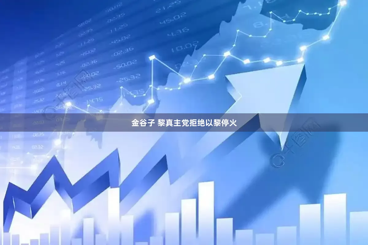 金谷子 黎真主党拒绝以黎停火